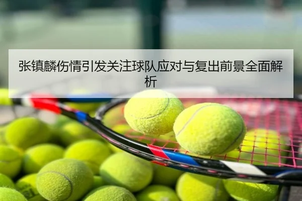 张镇麟伤情引发关注球队应对与复出前景全面解析