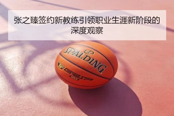 张之臻签约新教练引领职业生涯新阶段的深度观察
