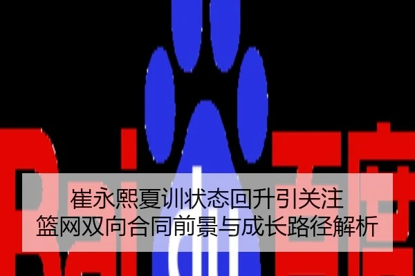崔永熙夏训状态回升引关注 篮网双向合同前景与成长路径解析