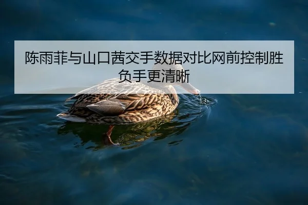 陈雨菲与山口茜交手数据对比网前控制胜负手更清晰